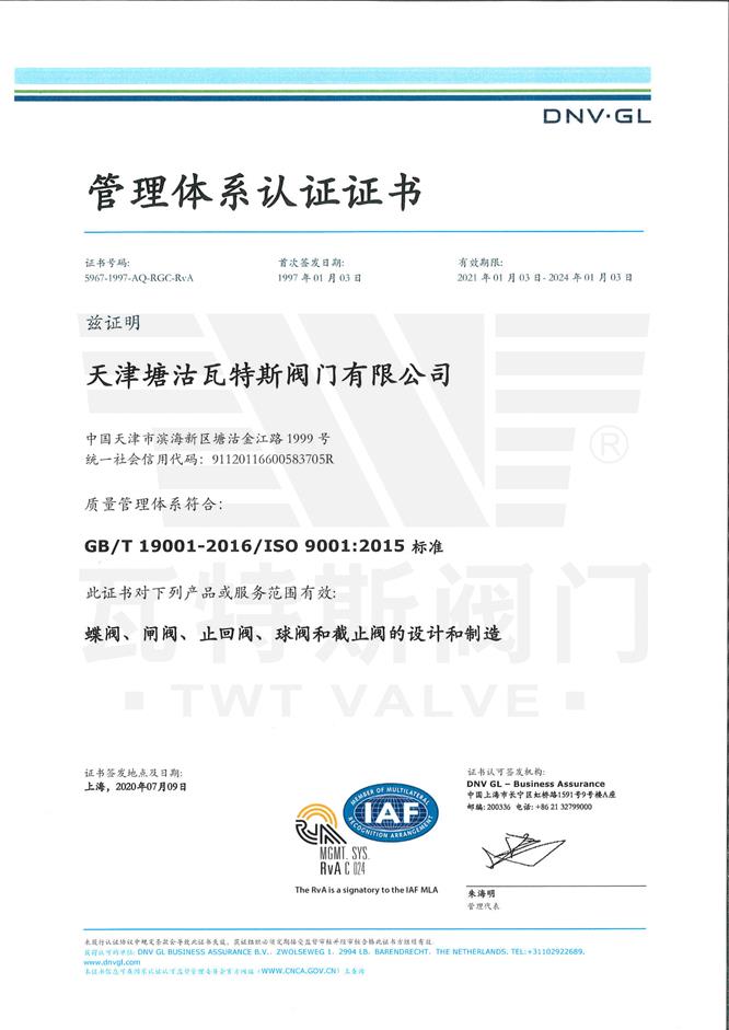 ISO-19001：2015質(zhì)量體系認證中文