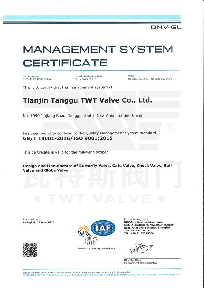 ISO-19001：2015質(zhì)量體系認(rèn)證英文